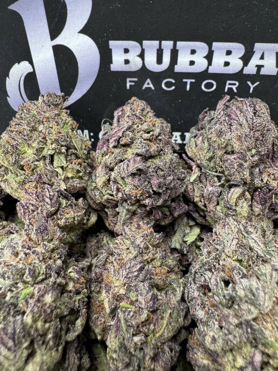 1 Pack Purple Gushmintz