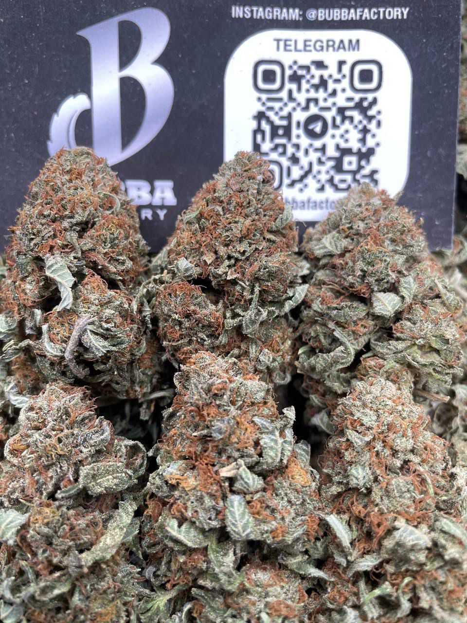 BUBBA SHERBERT