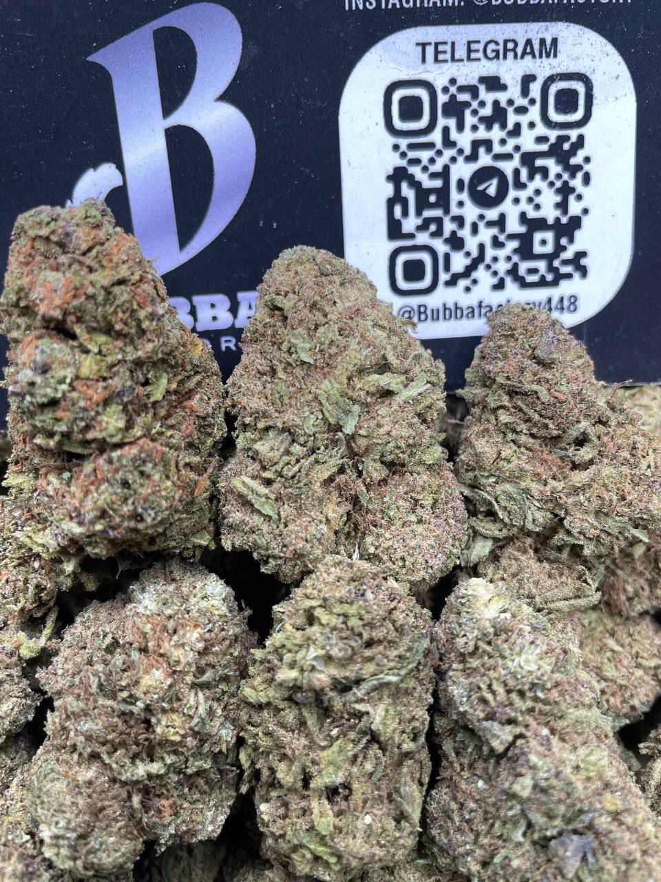 PAPAYA MINTZ