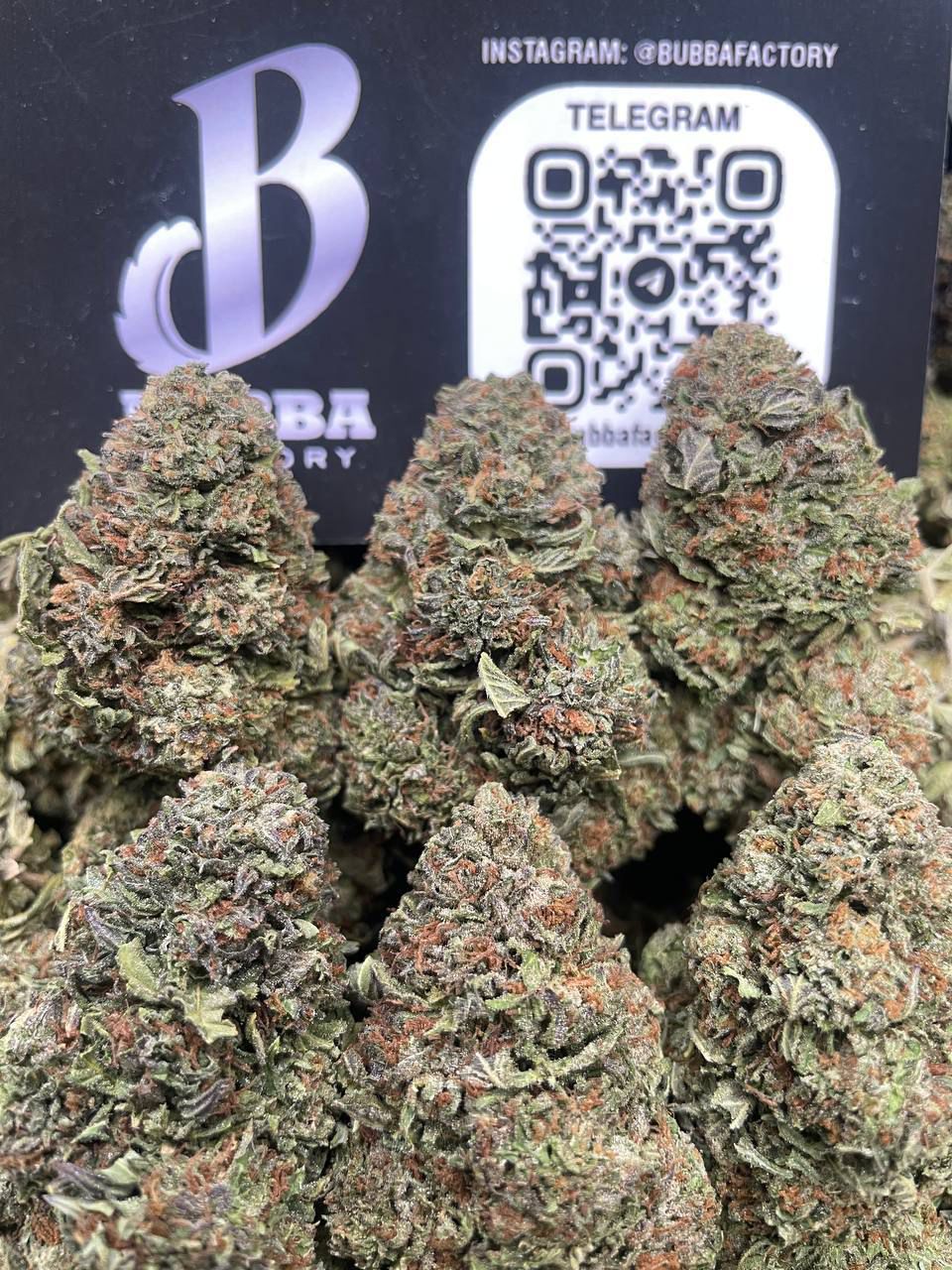 PLATINUM SHERBET