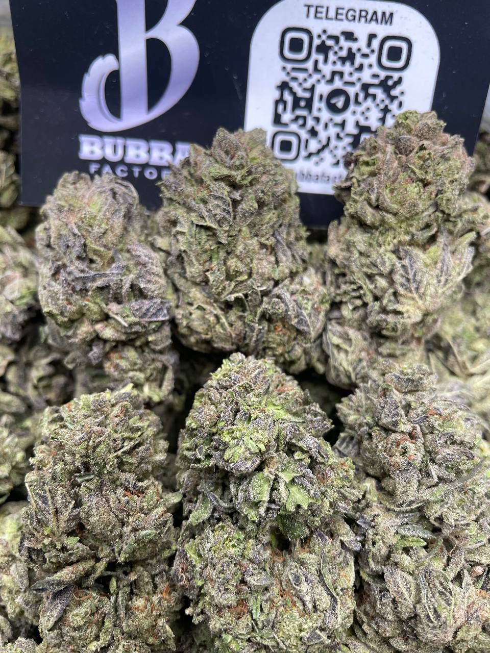 TRUFFLE BERRIEZ