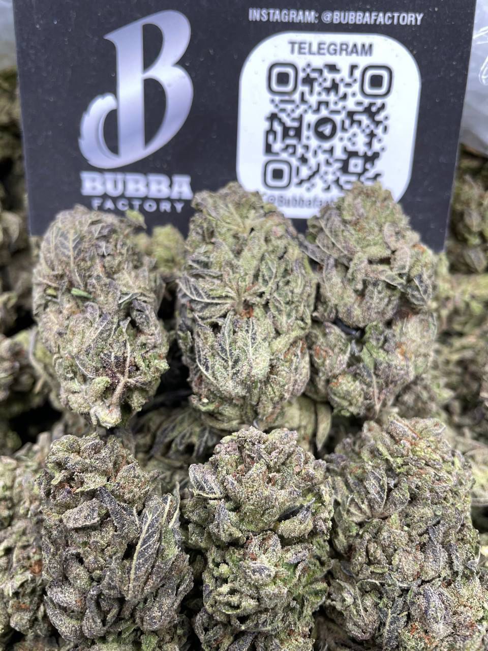 TRUFFLE BREATH