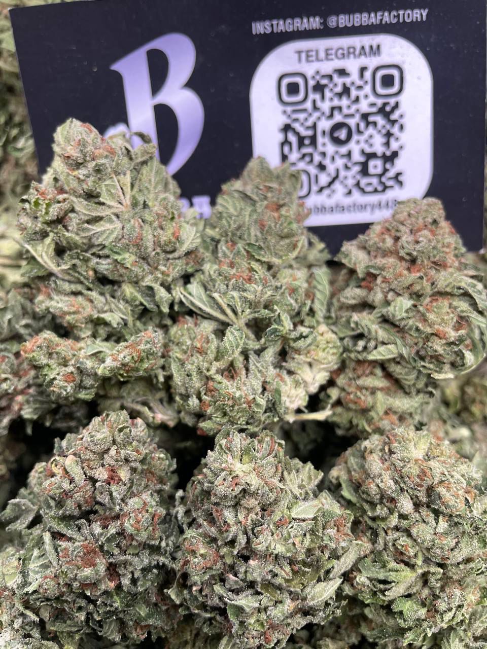 WHITE FIRE BUBBA