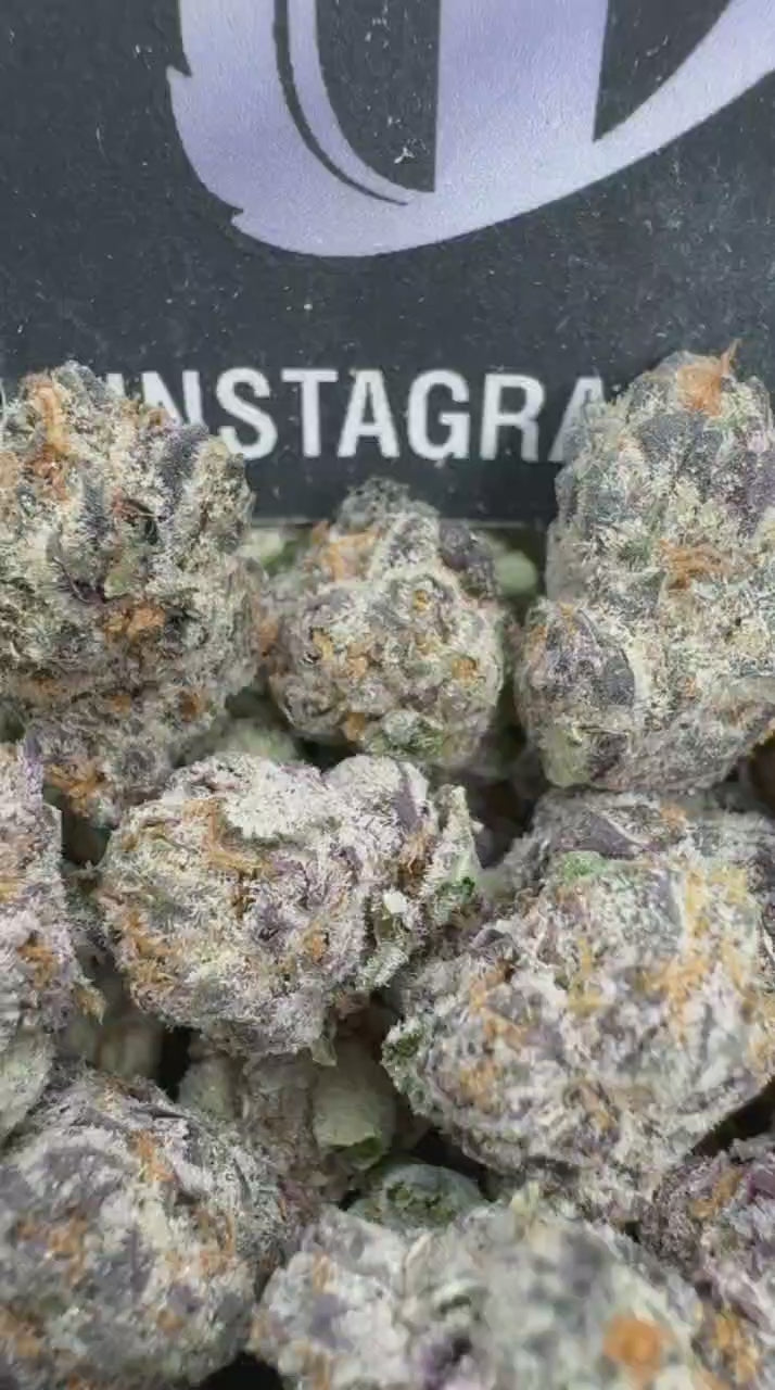 Watermelon Z Smediums