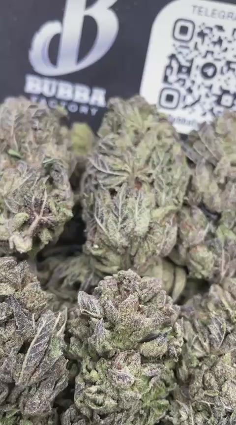 TRUFFLE BREATH