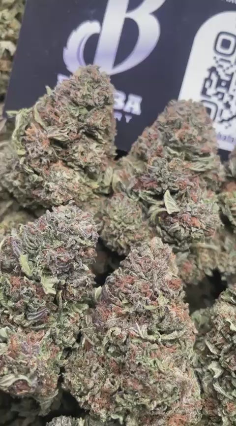 PLATINUM SHERBET