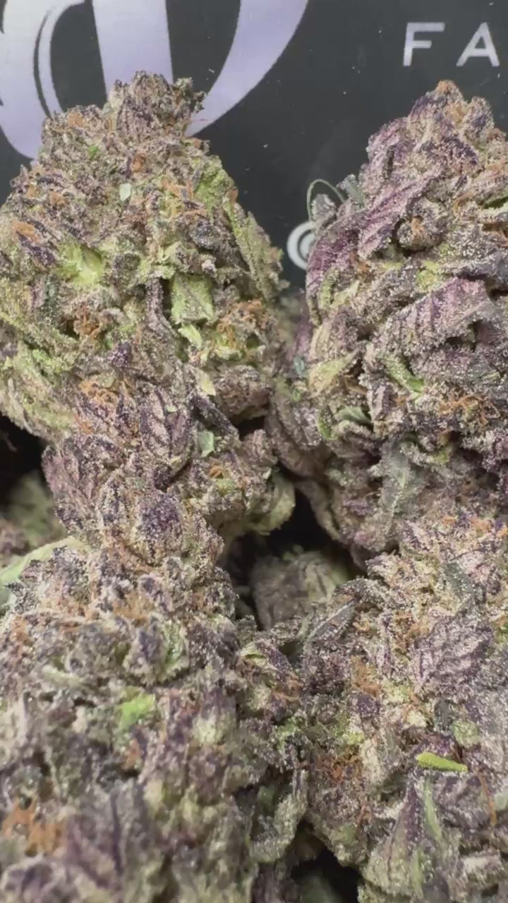 1 Pack Purple Gushmintz