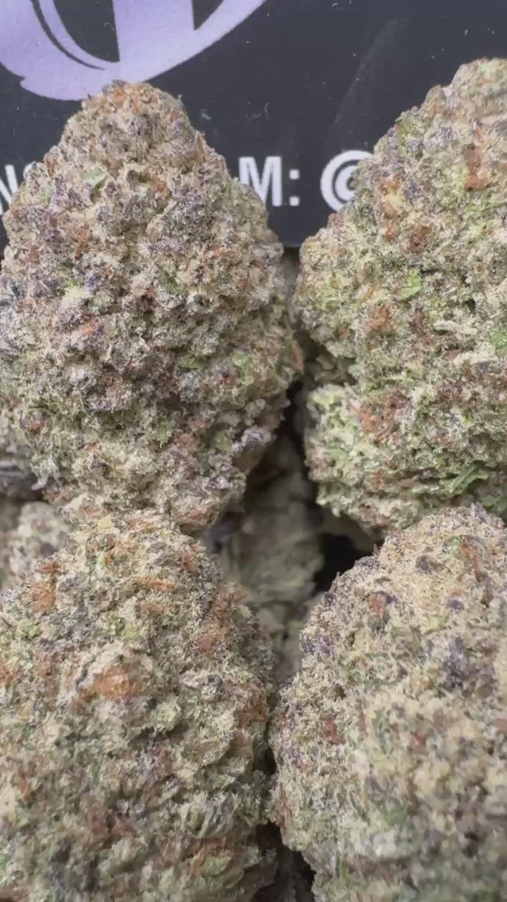 1 Pack White Trufflez