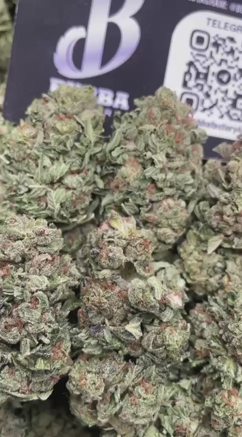 PLATINUM BUBBA