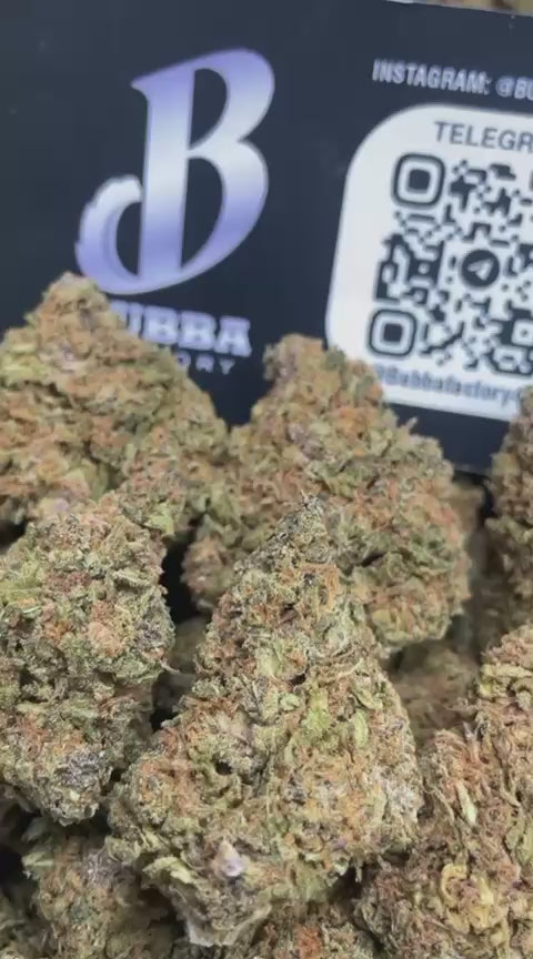 GUSHERS