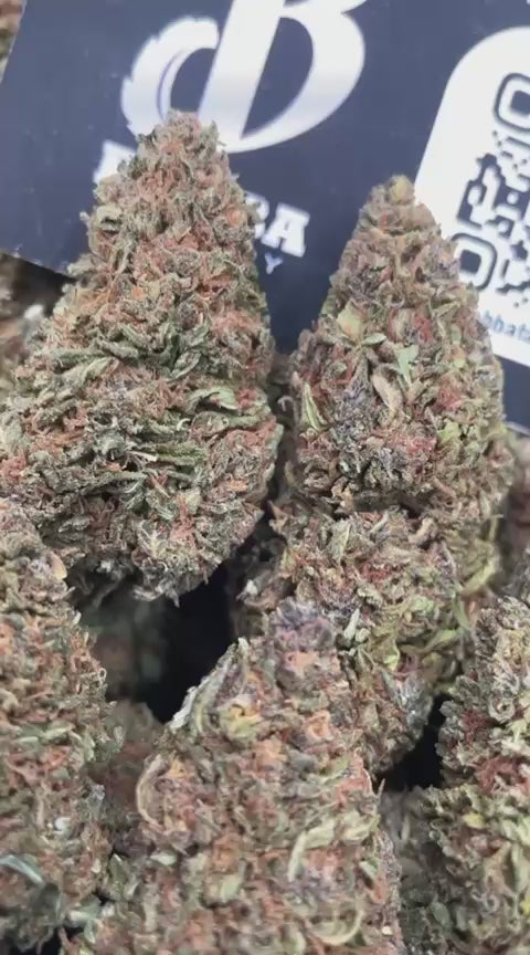BANANA CUSTARD