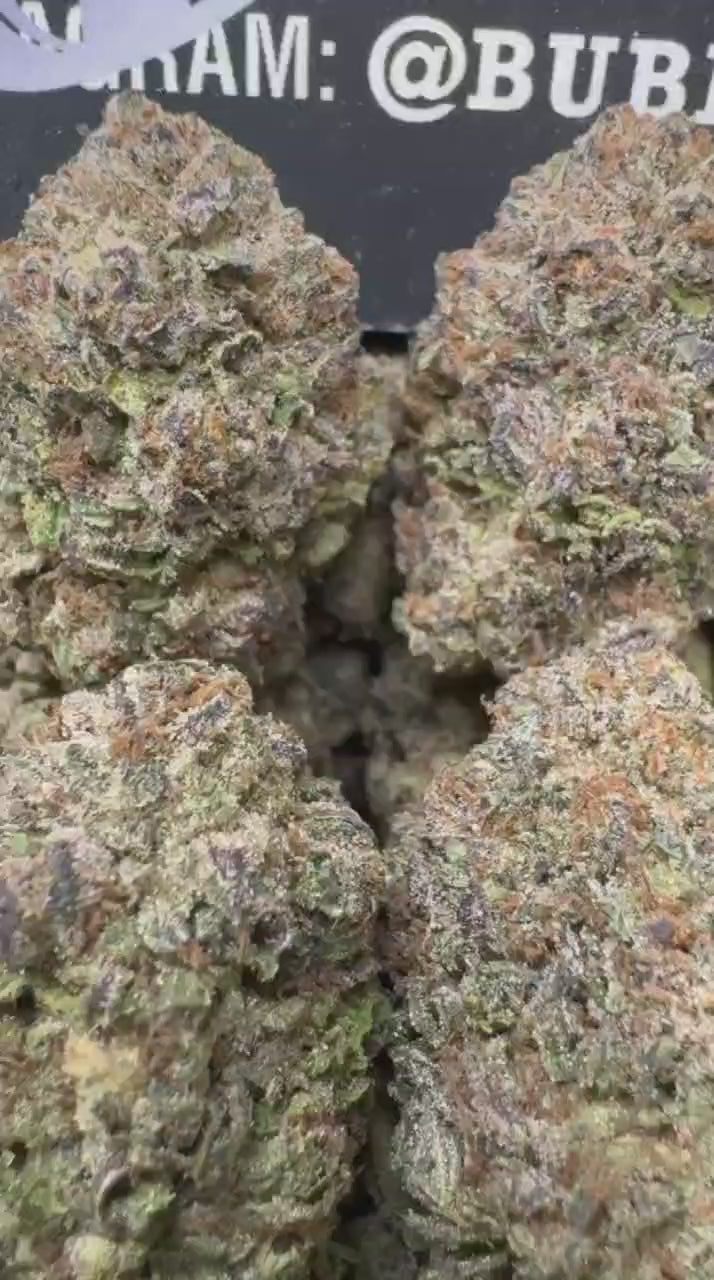 1 Pack Watermelon Gelato