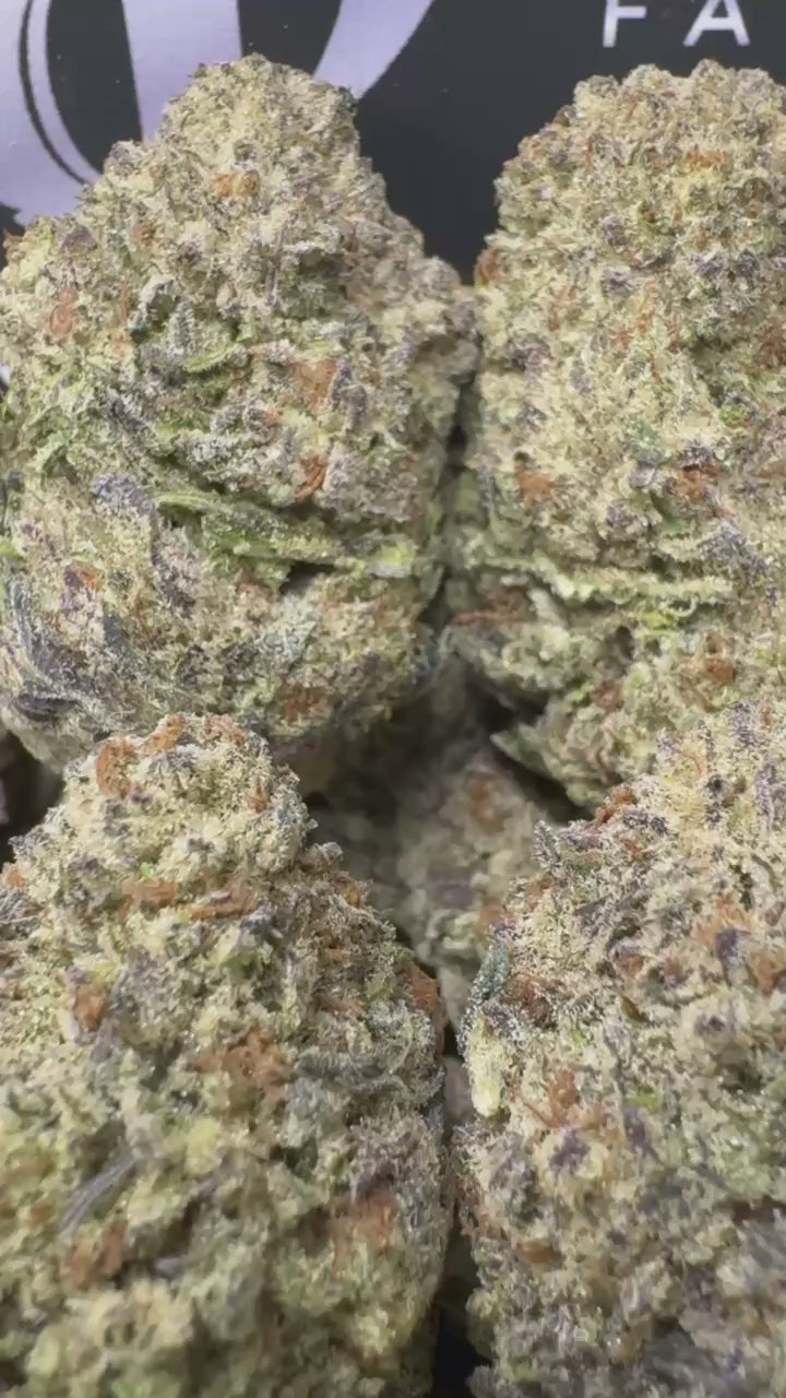 1 Pack Truffle Oreoz