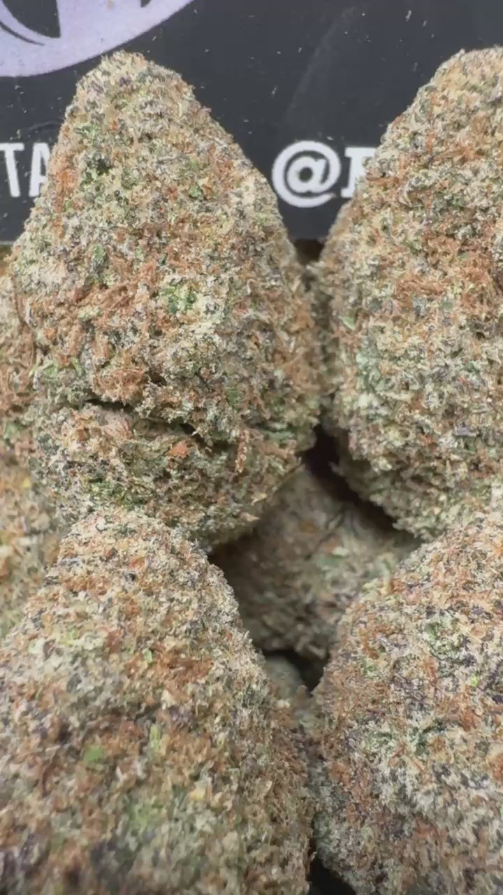 1 Pack Italian Runtz