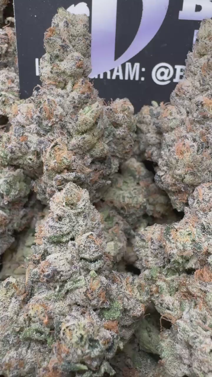 1 PACK Purple Push Pop