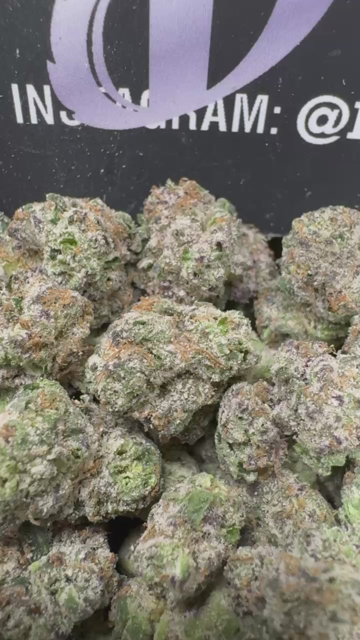 1 PACK Turtle Smalls