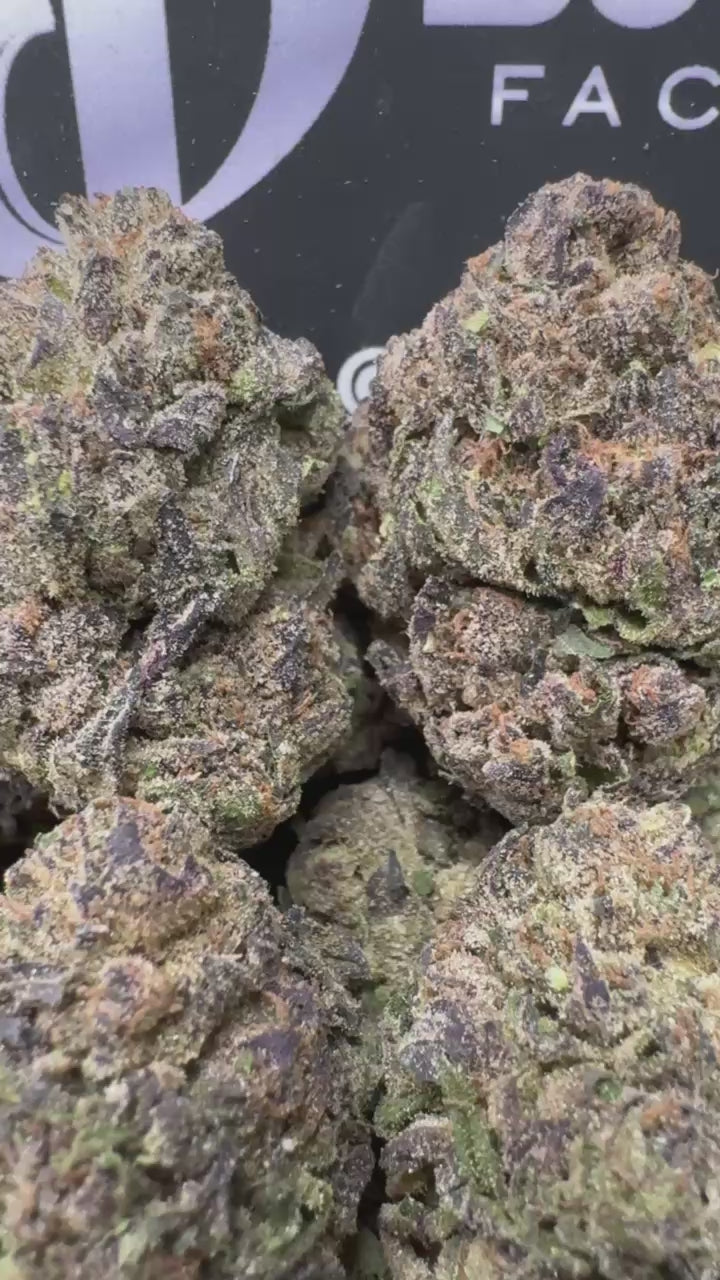 1 Pack Purple Runtz