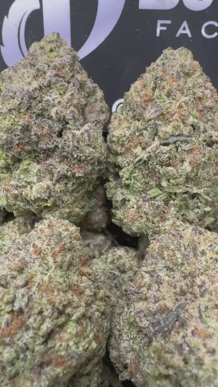 1 Pack Snow Conez