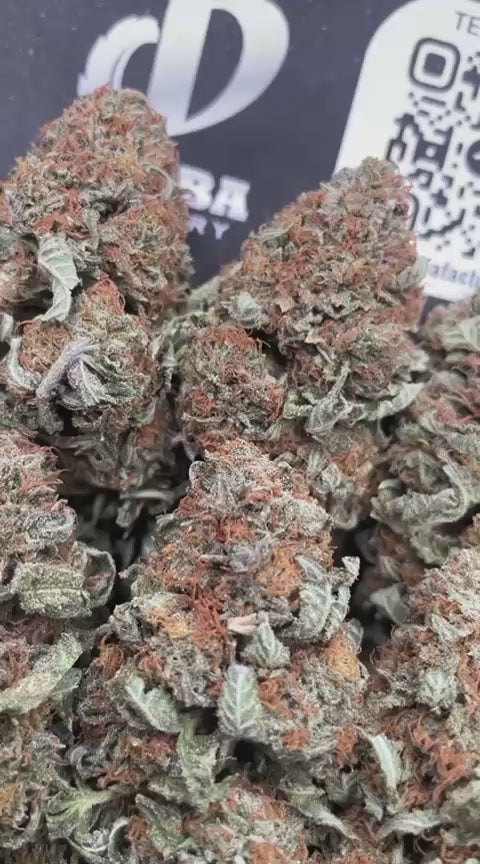 BUBBA SHERBERT
