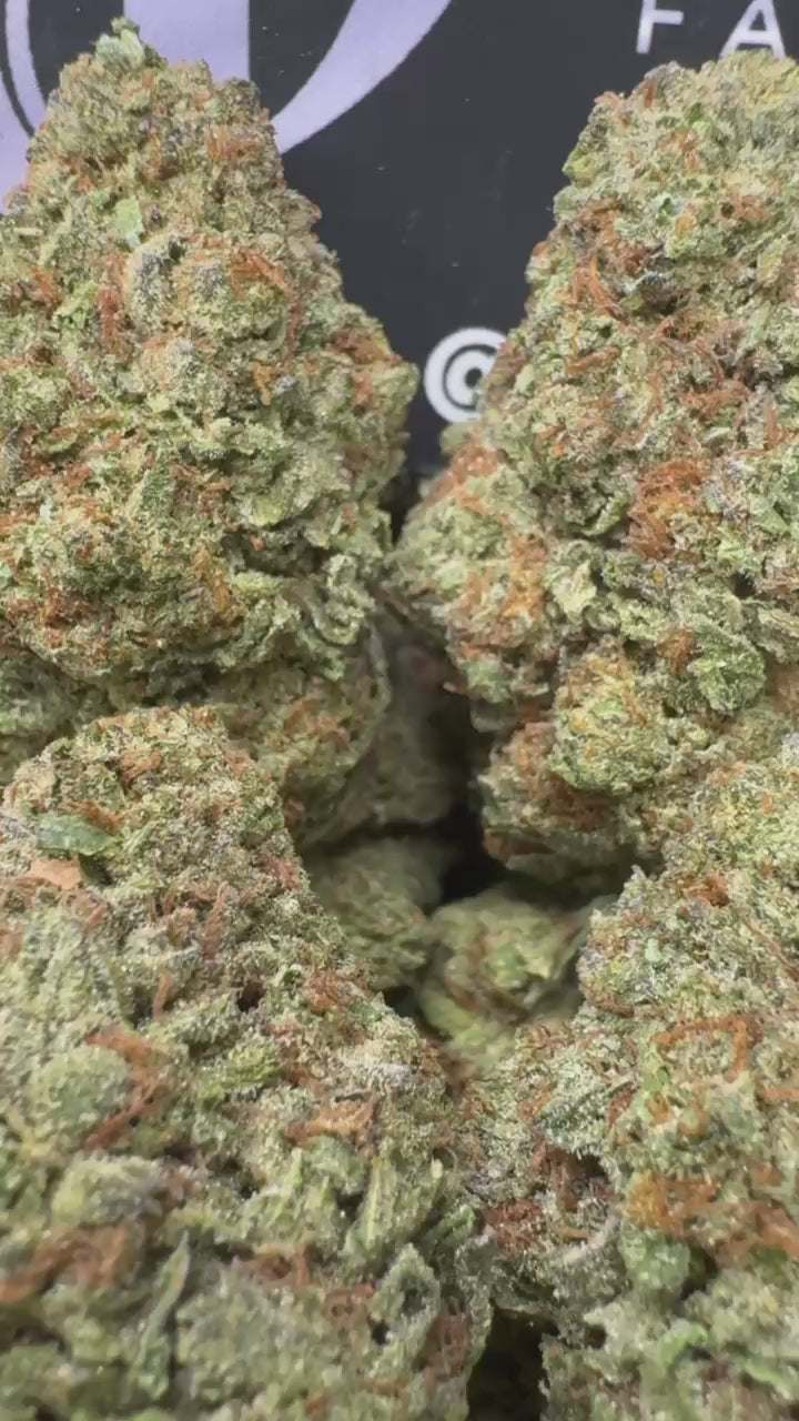 1 Pack Pineapple Sorbet