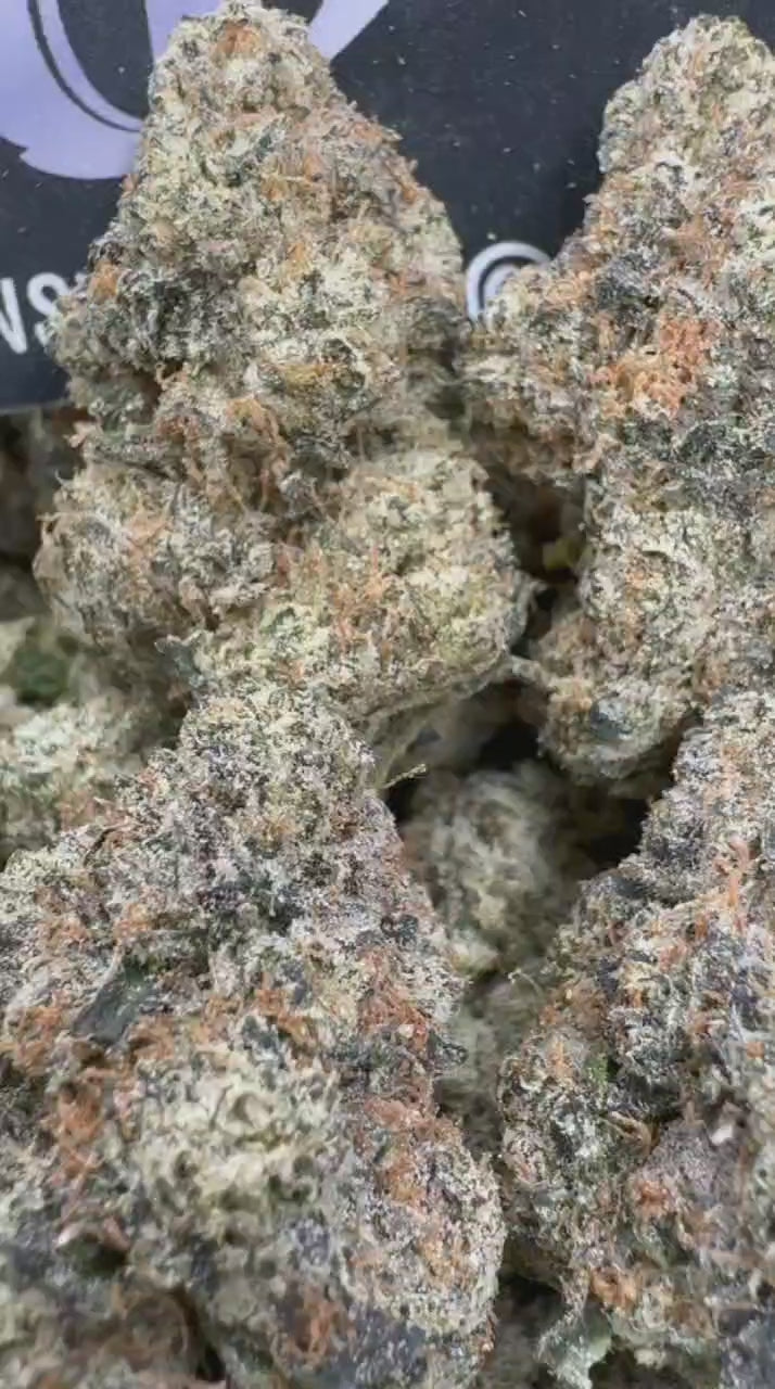 Bubble Gum Gelato