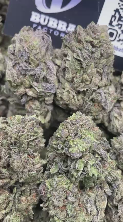 TRUFFLE BERRIEZ