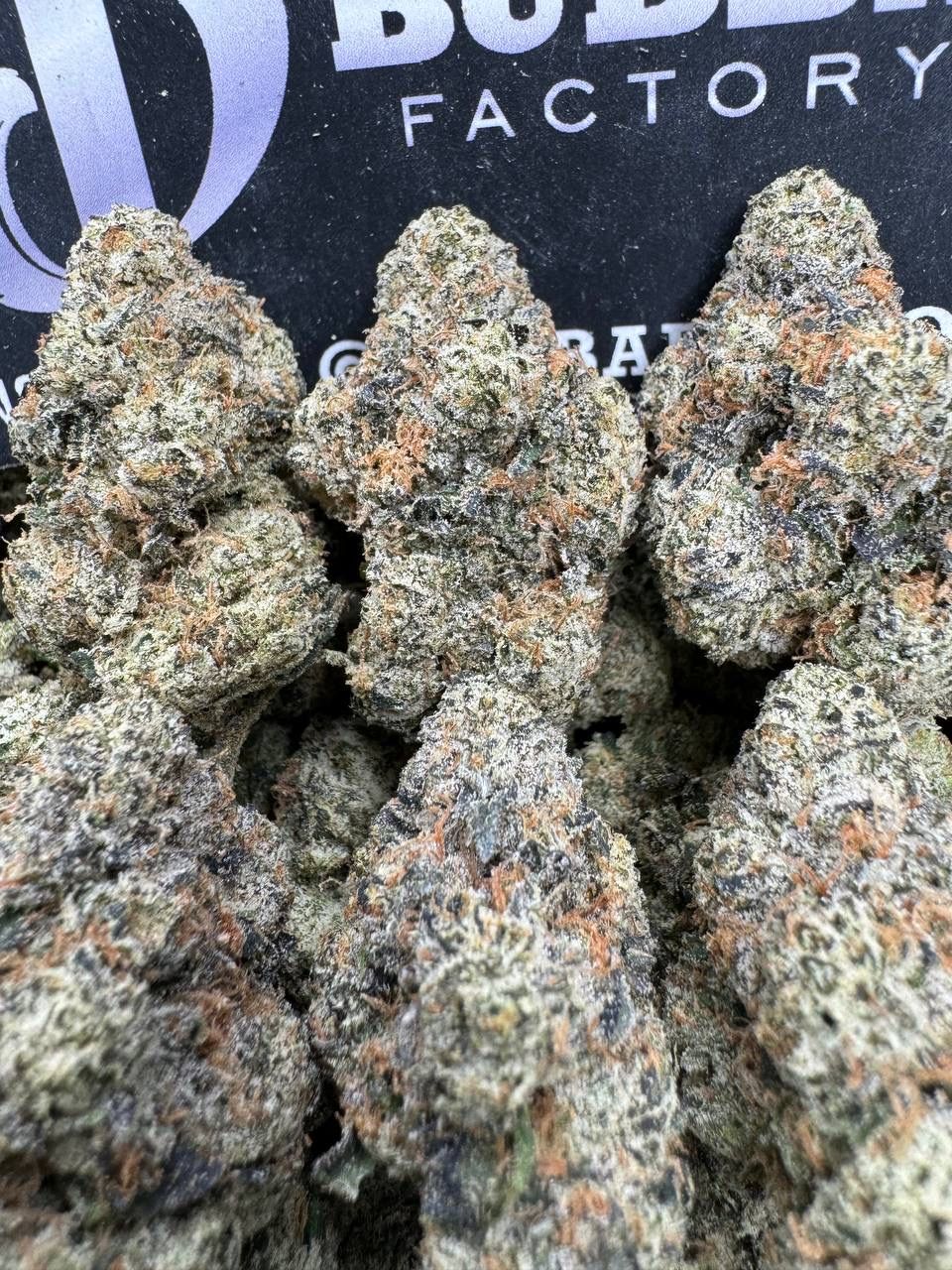 Bubble Gum Gelato