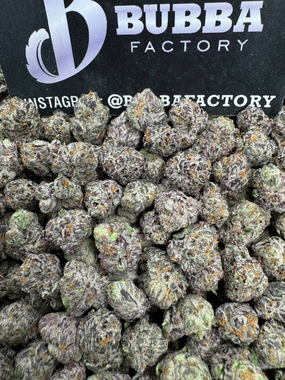 Watermelon Z Smediums